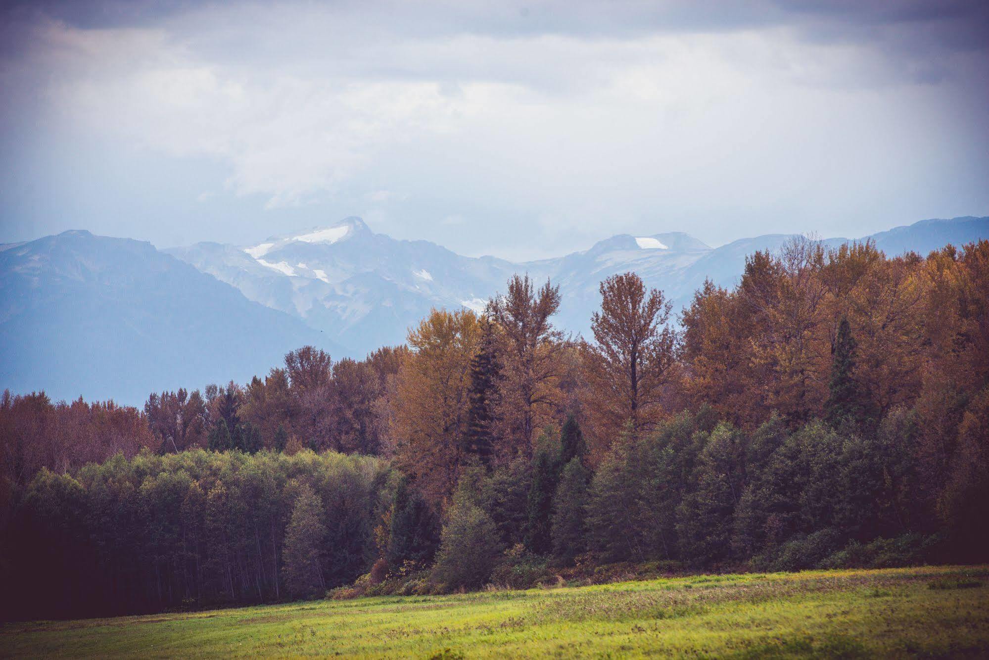Hidden Acres Farm And Treehouse Resort Террас Экстерьер фото