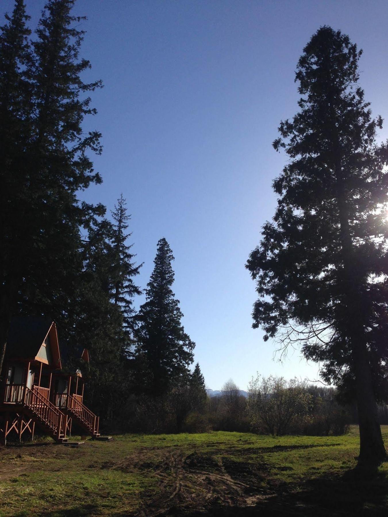 Hidden Acres Farm And Treehouse Resort Террас Экстерьер фото